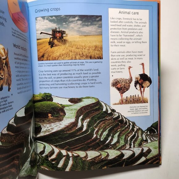 The Usborne Internet-Linked Book Encyclopedia of Planet Earth Science Homeschool - Picture 7 of 14